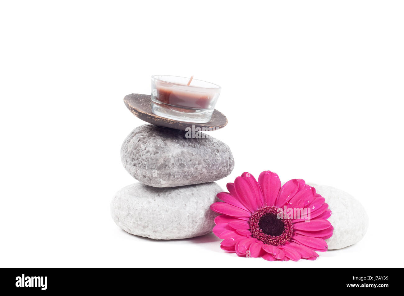 Bella beauteously bel monolocale fiore gerbera impianto accessorio accessori Foto Stock