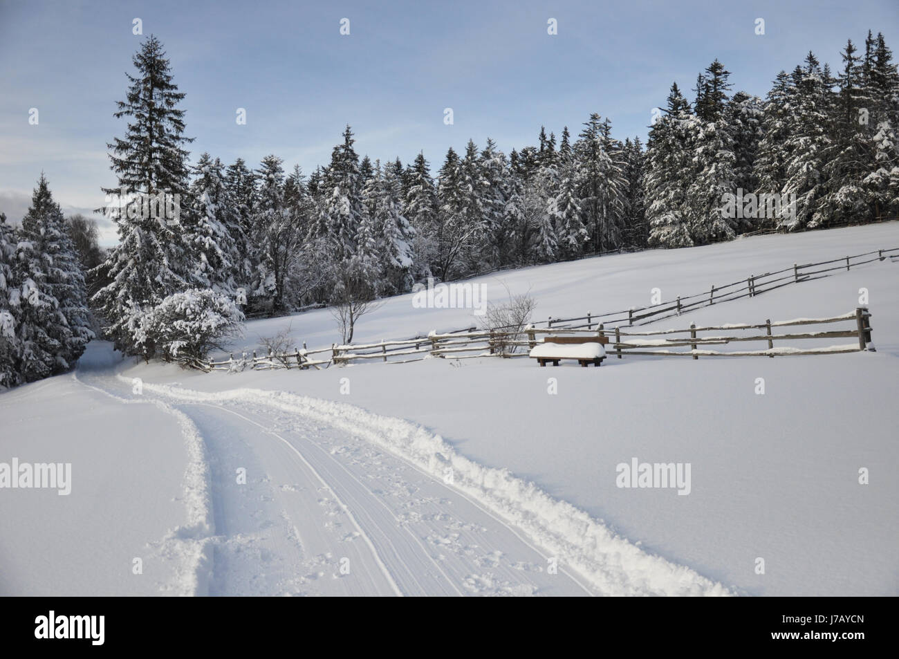 Schnee winter spuren zaun nadelwald wald schlittenspur schneedecke schnee Foto Stock