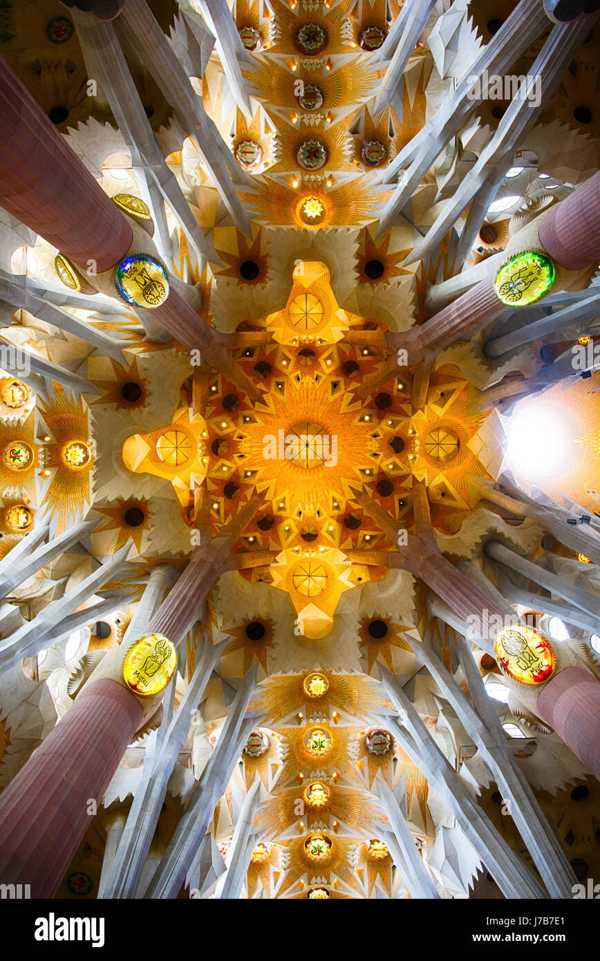 Il soffitto del la Sagrada Familia di Gaudi'. Di Mark Higham Foto Stock