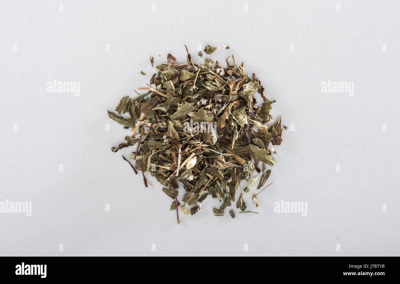 Menta secca Foto Stock