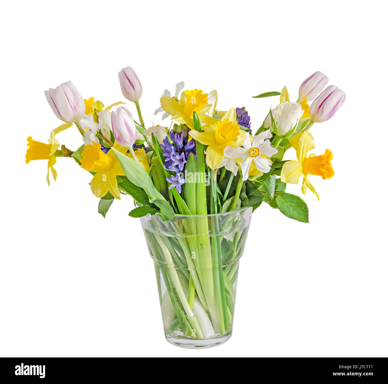 Bouquet, composizioni floreali con giallo narcisi, tulipani bianco, blu Hyacinthus orientalis e rose bianche, vaso trasparente, close up, isolato su w Foto Stock