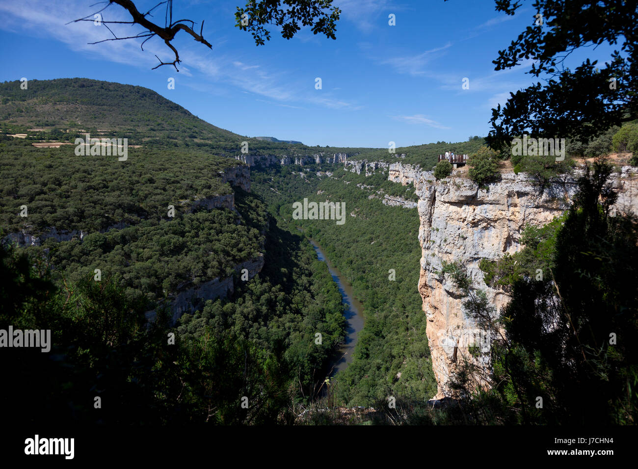 Europa spagna riserva Canyon verde erba natura albero naturale alberi europa outdoor Foto Stock