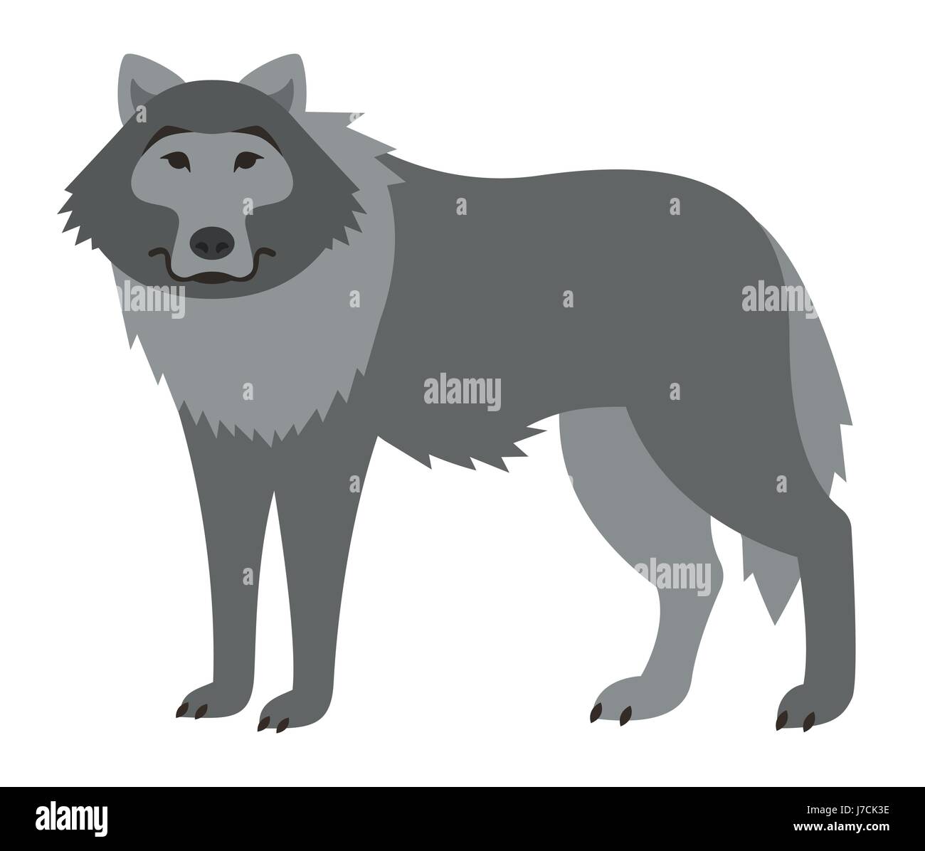 Carino sorridente vettore wolf cartoon illustrazione. Selvatica animali dello zoo icona. Big Grey shaggy predatori adulti in piedi. Isolato su bianco. La fauna della foresta infantile Illustrazione Vettoriale