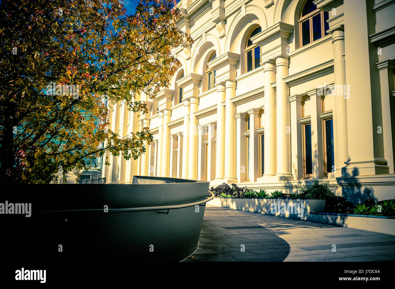 St Kilda Town Hall e di un bel colore giallo albero che cresce nelle vicinanze in autunno. Melbourne, Victoria, Australia Foto Stock