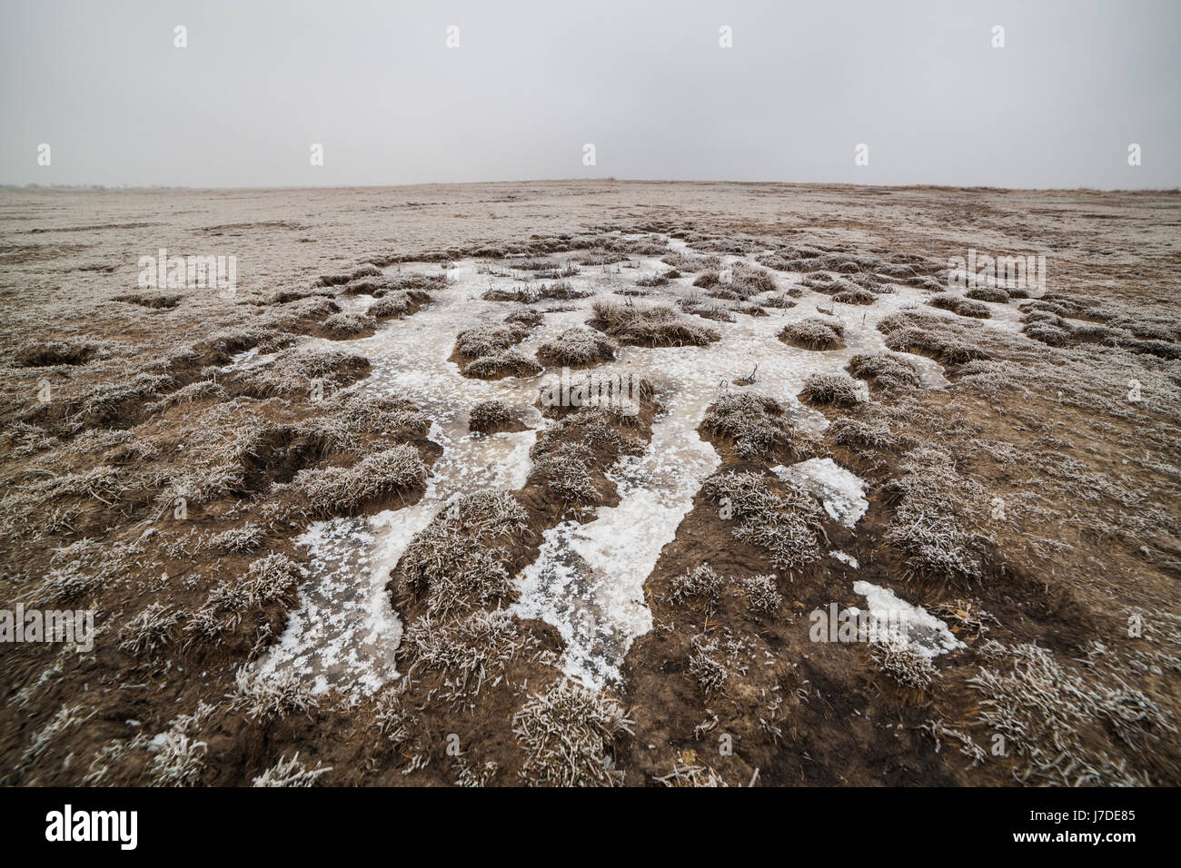 Massa congelata in terreno pianeggiante in inverno. Foto Stock