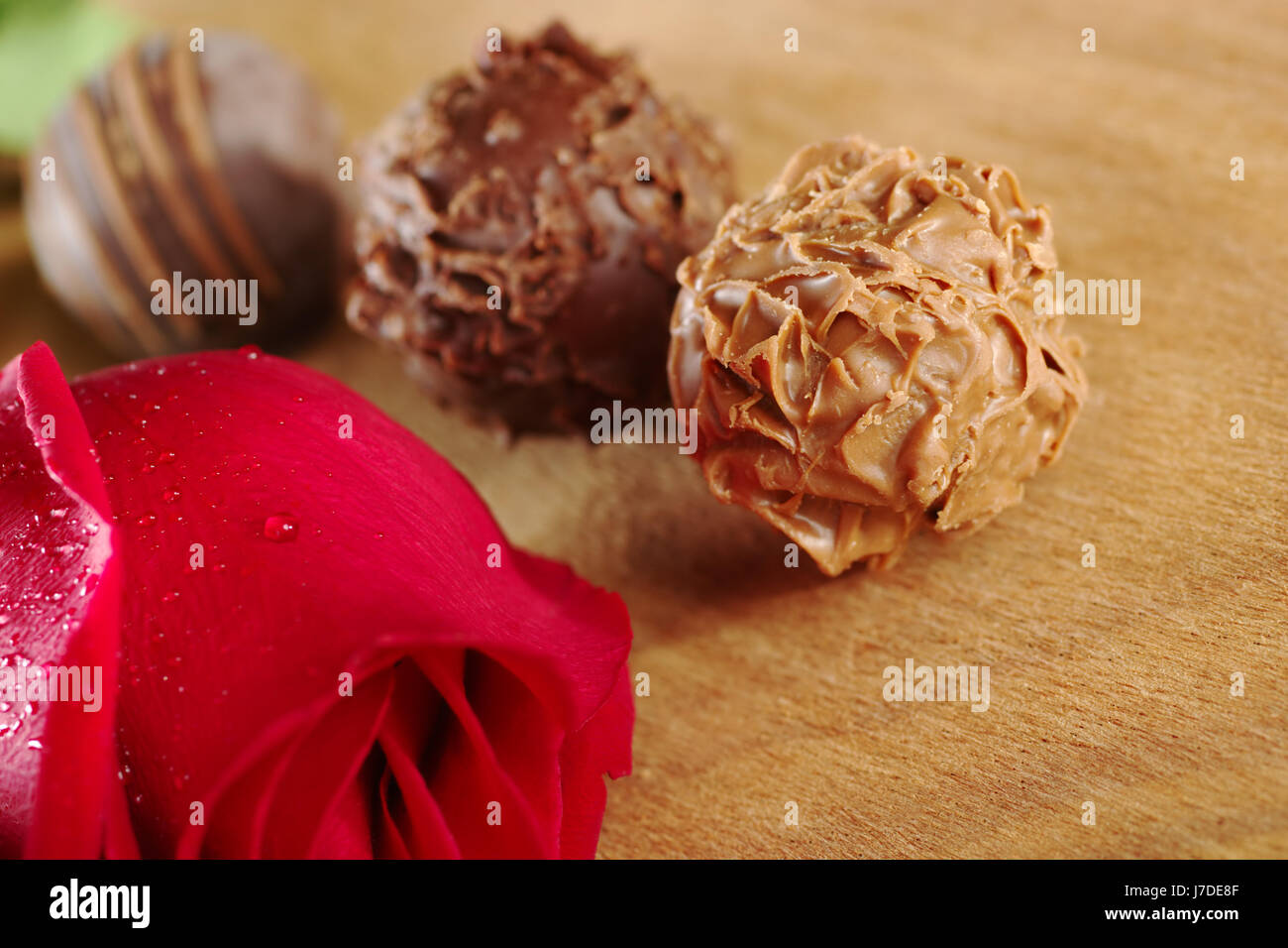 Dolce fiore pianta di rose candy amore in amore si innamorò di Tartufo dolce  rossa Foto stock - Alamy