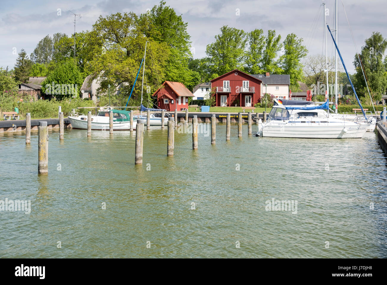 Porto di Nato auf dem Darss, Meclenburgo-Pomerania Occidentale, Germania Foto Stock