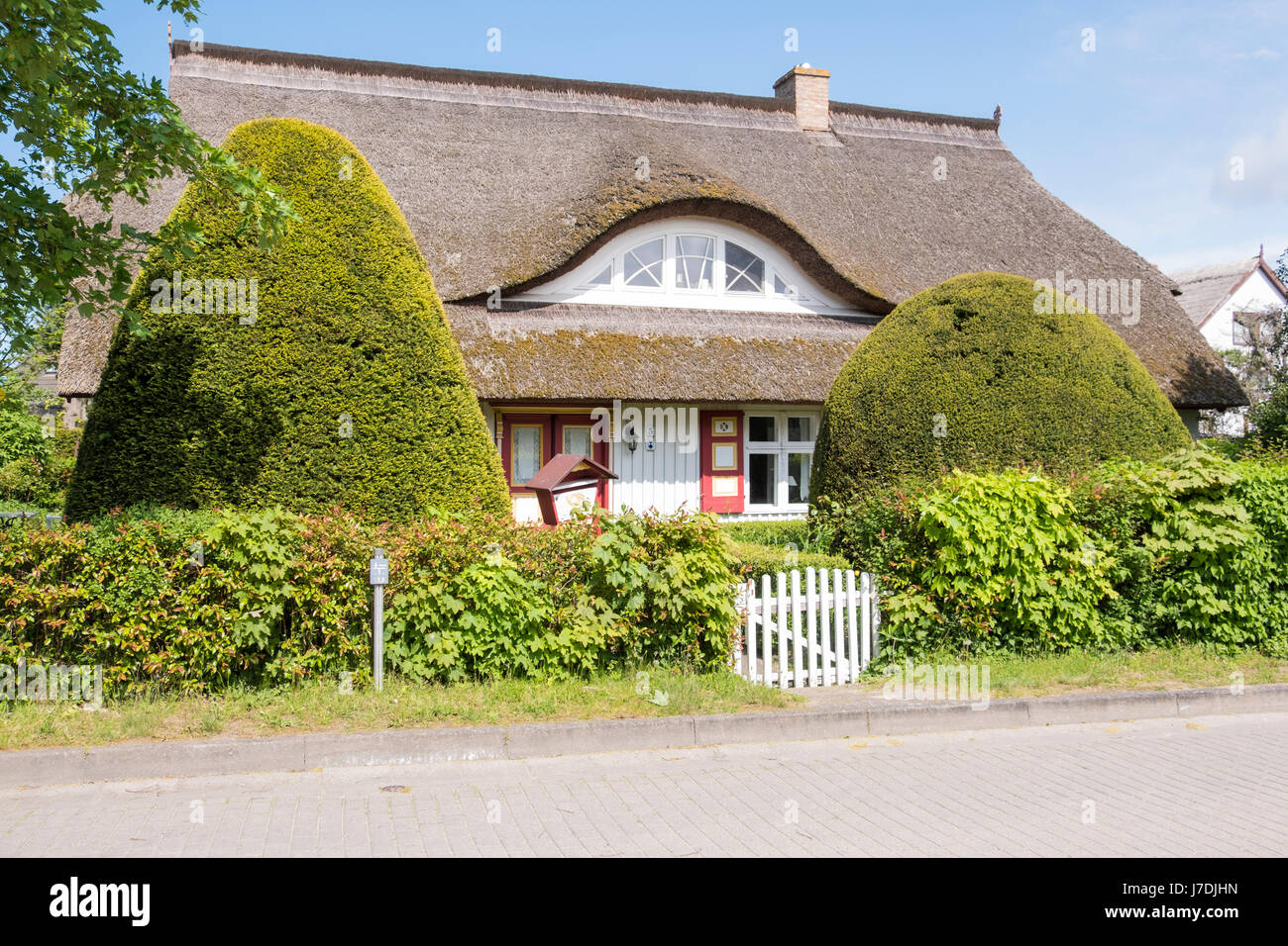 Tipici cottage con il tetto di paglia alla Nato auf dem Darss, Meclenburgo-Pomerania Occidentale, Germania Foto Stock