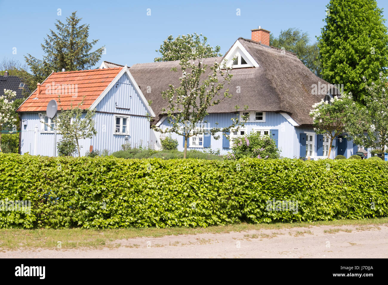 Tipici cottage con il tetto di paglia alla Nato auf dem Darss, Meclenburgo-Pomerania Occidentale, Germania Foto Stock