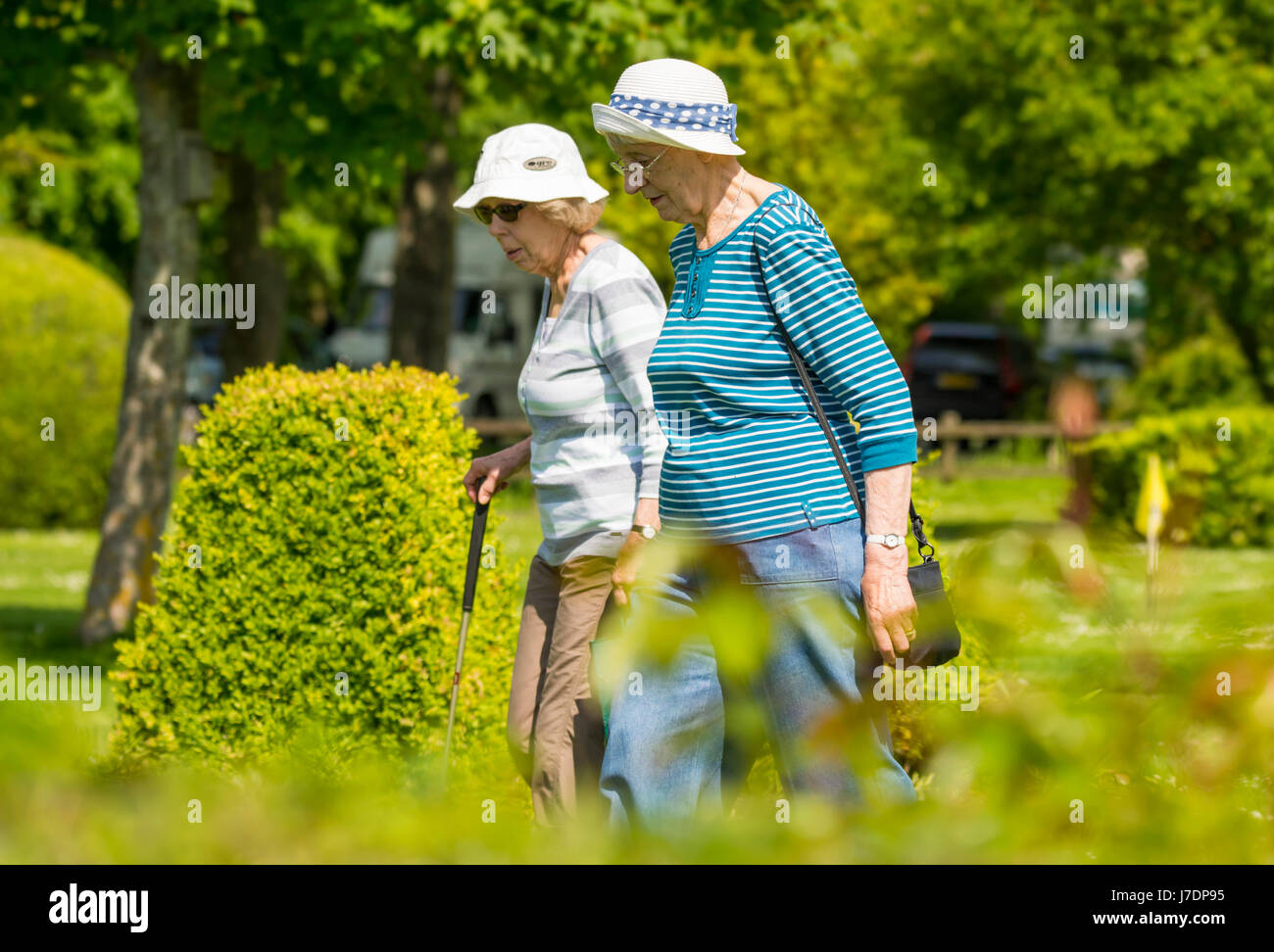 Le donne anziane prendendo un estate a piedi attraverso un parco. Foto Stock