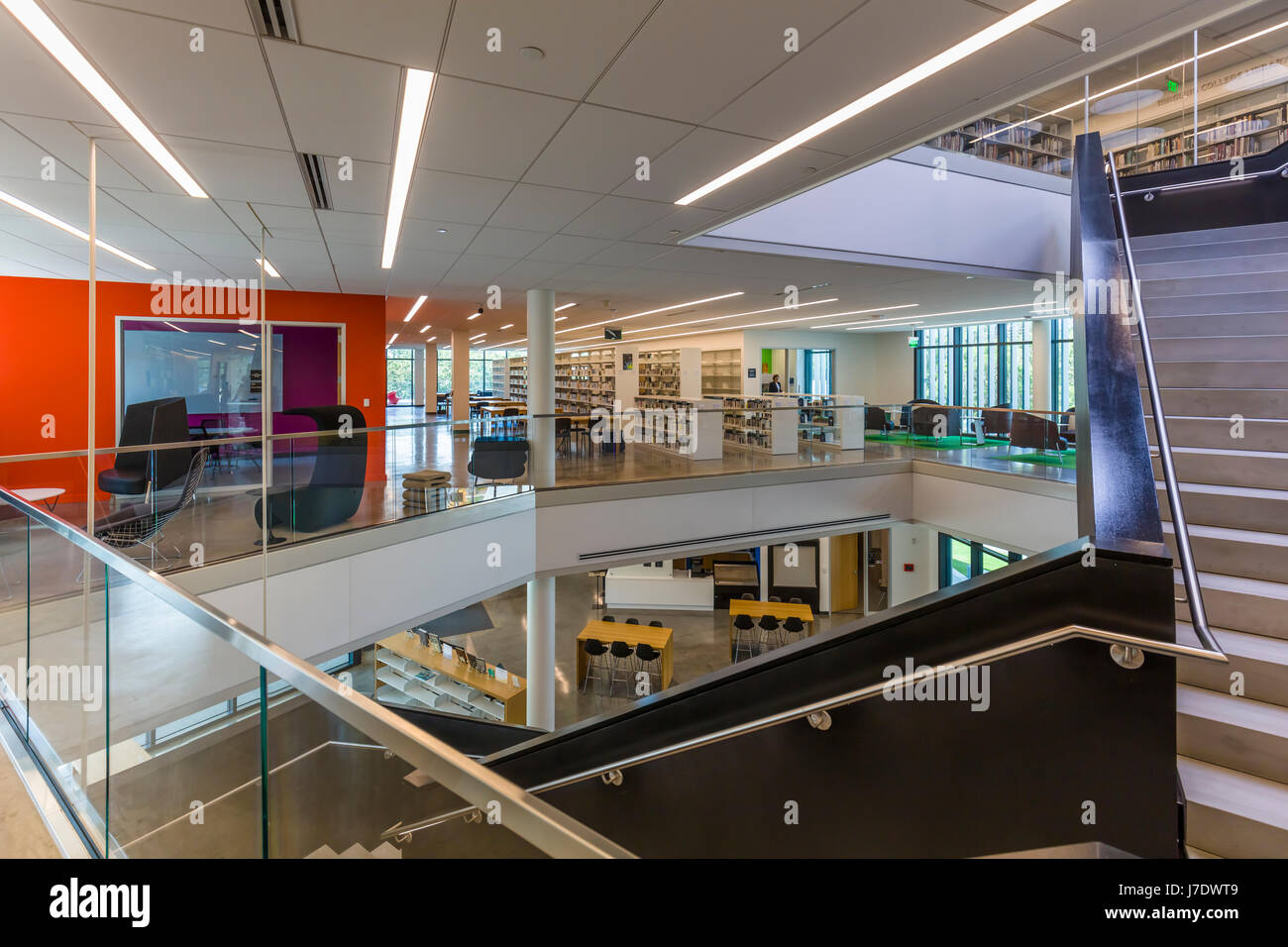 L'interno dell'Alfred R. Goldstein biblioteca presso il Ringling College of Art & Design in Sarasota Florida Foto Stock