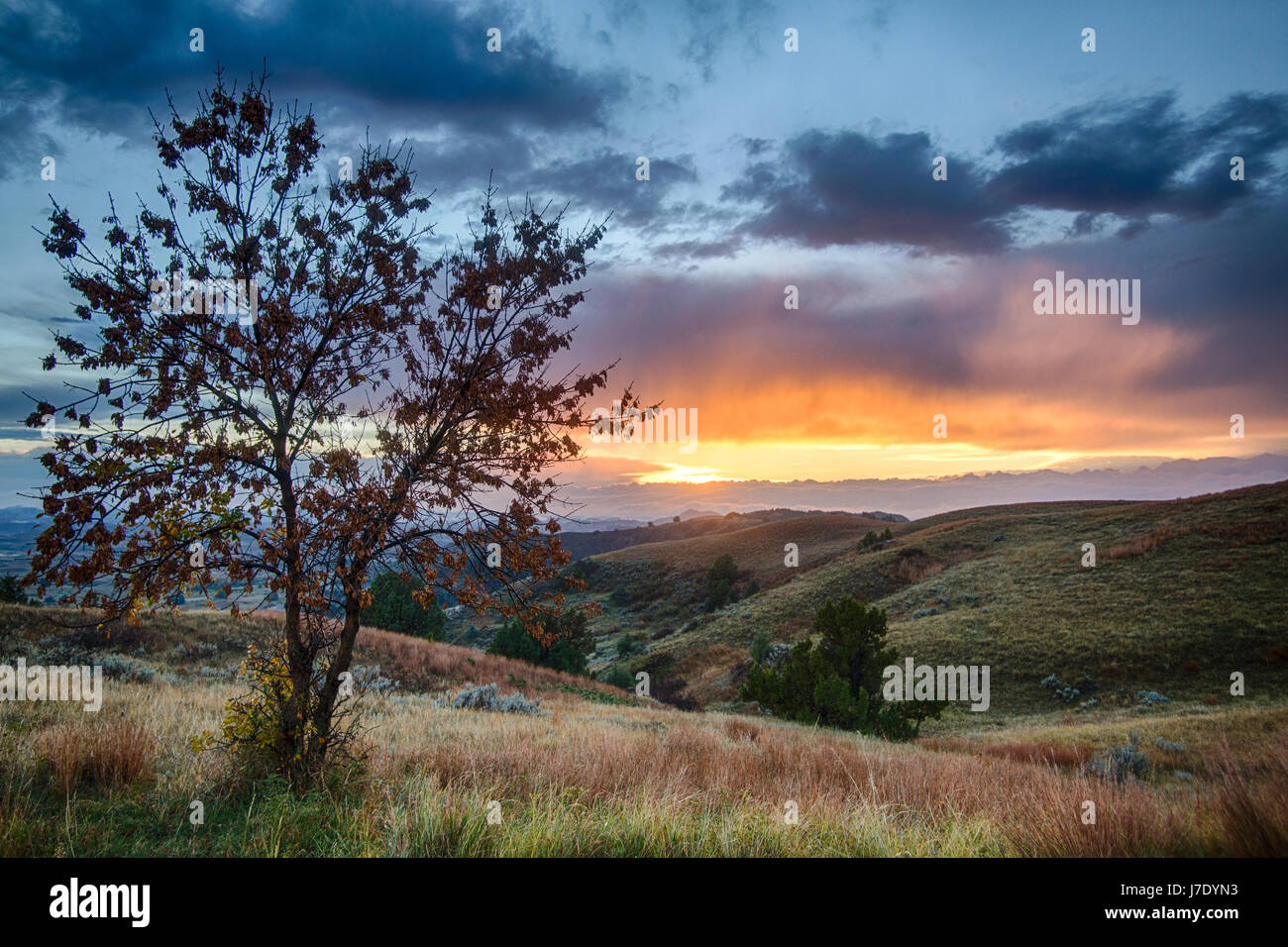 Si affacciano a Teddy Roosevelt Park al tramonto Foto Stock