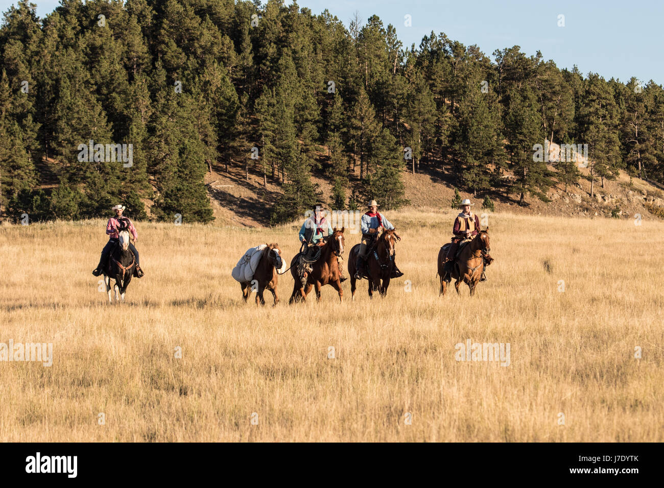 Cowboy e pack horse attraversando la pianura iin Dakota del Sud Foto Stock