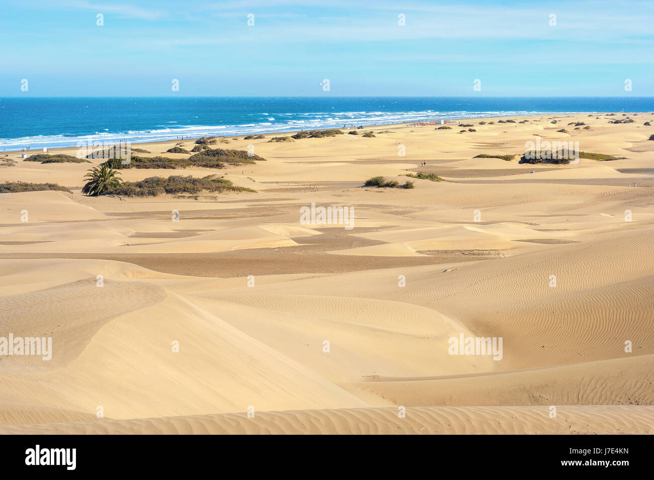 Paesaggio con dune di sabbia sul Lungomare di Maspalomas. Gran Canaria Isole Canarie Spagna Foto Stock