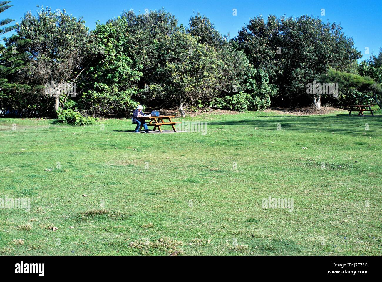 Alberi, arbusti, parco e non identificabile la persona seduta su una panchina a distanza Foto Stock