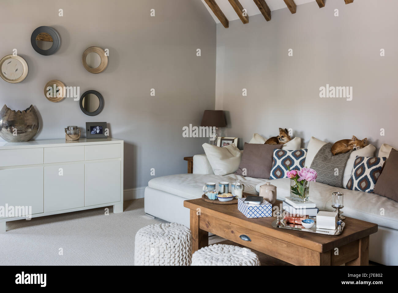 Chunky knit mini sgabelli da Cox & Cox in salotto a pianta aperta con soffitto a travi e dormire chihuahua cani. Le pareti sono dipinte in grigio chiaro da Alb Foto Stock