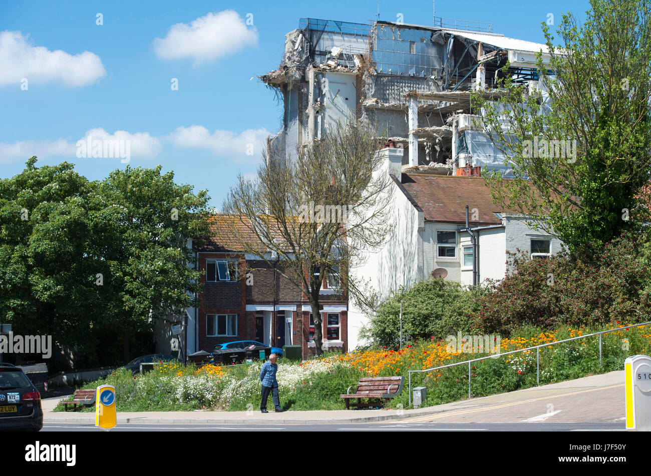 Brighton, Regno Unito. 25 Maggio, 2017. Un oasi di colore ha germogliato nel centro città di Brighton durante il caldo come un prato di fiori selvatici ha fiorì tra traffico e cassonetti per il riciclaggio provocando agitazione in Edward Street . Le previsioni per domani per essere il giorno più caldo dell'anno finora Credito: Simon Dack/Alamy Live News Foto Stock
