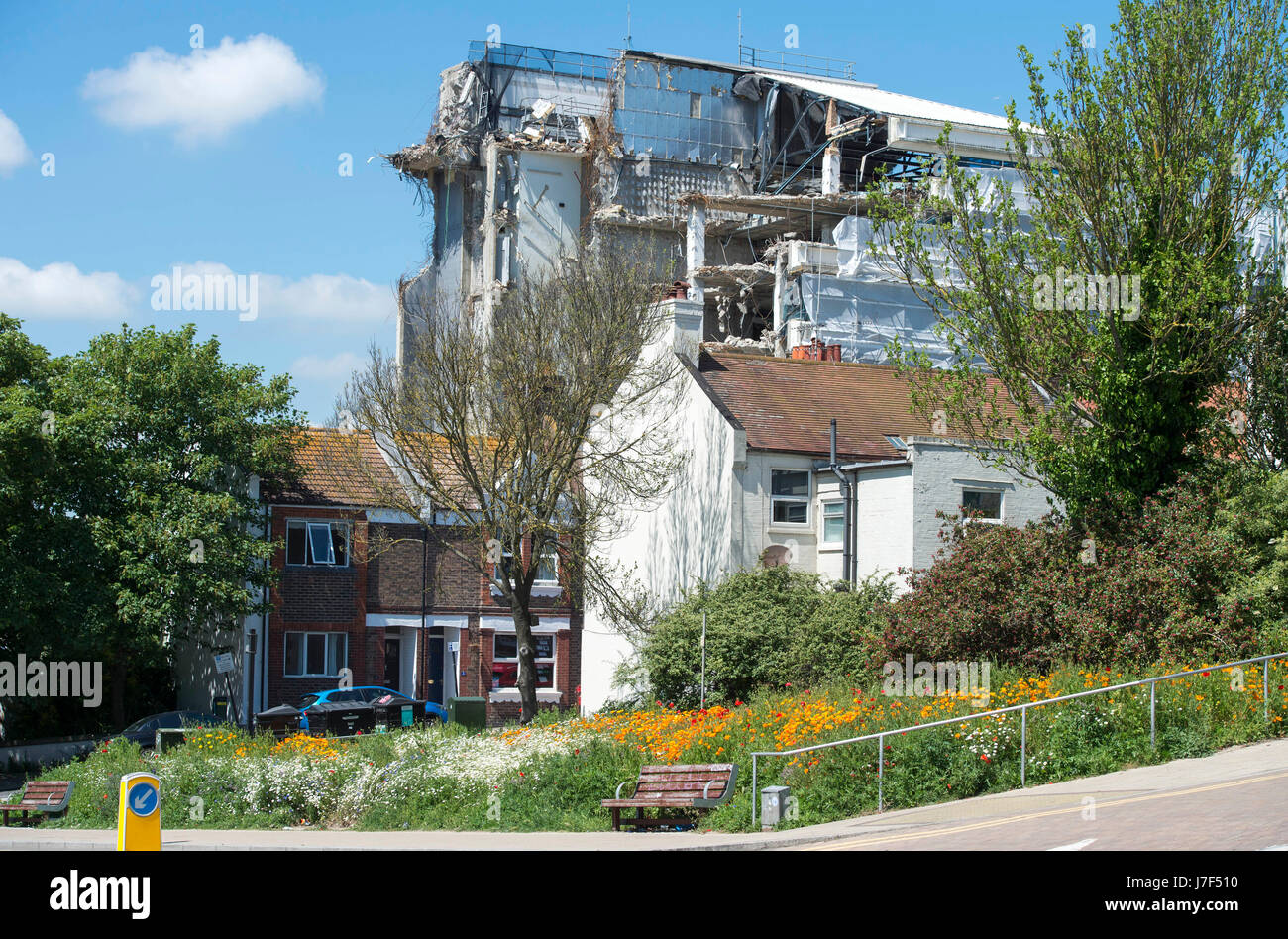 Brighton, Regno Unito. 25 Maggio, 2017. Un oasi di colore ha germogliato nel centro città di Brighton durante il caldo come un prato di fiori selvatici ha fiorì tra traffico e cassonetti per il riciclaggio provocando agitazione in Edward Street . Le previsioni per domani per essere il giorno più caldo dell'anno finora Credito: Simon Dack/Alamy Live News Foto Stock