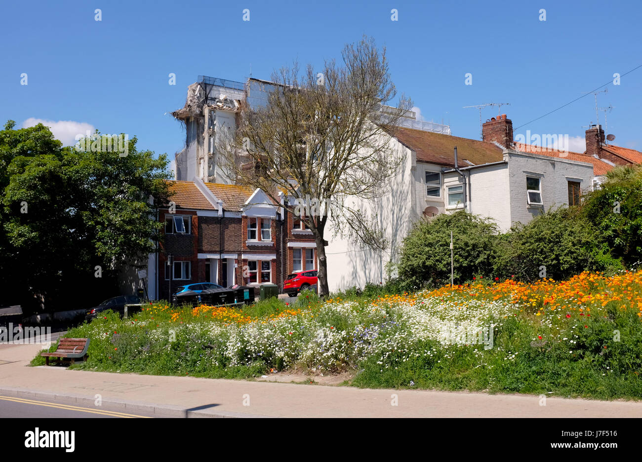 Brighton, Regno Unito. 25 Maggio, 2017. Un oasi di colore ha germogliato nel centro città di Brighton durante il caldo come un prato di fiori selvatici ha fiorì tra traffico e cassonetti per il riciclaggio provocando agitazione in Edward Street . Le previsioni per domani per essere il giorno più caldo dell'anno finora Credito: Simon Dack/Alamy Live News Foto Stock