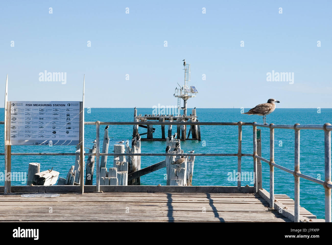 Blue Bird rampa summerly estate foto camera dock Molo Jetty di immagine copia immagine Foto Stock