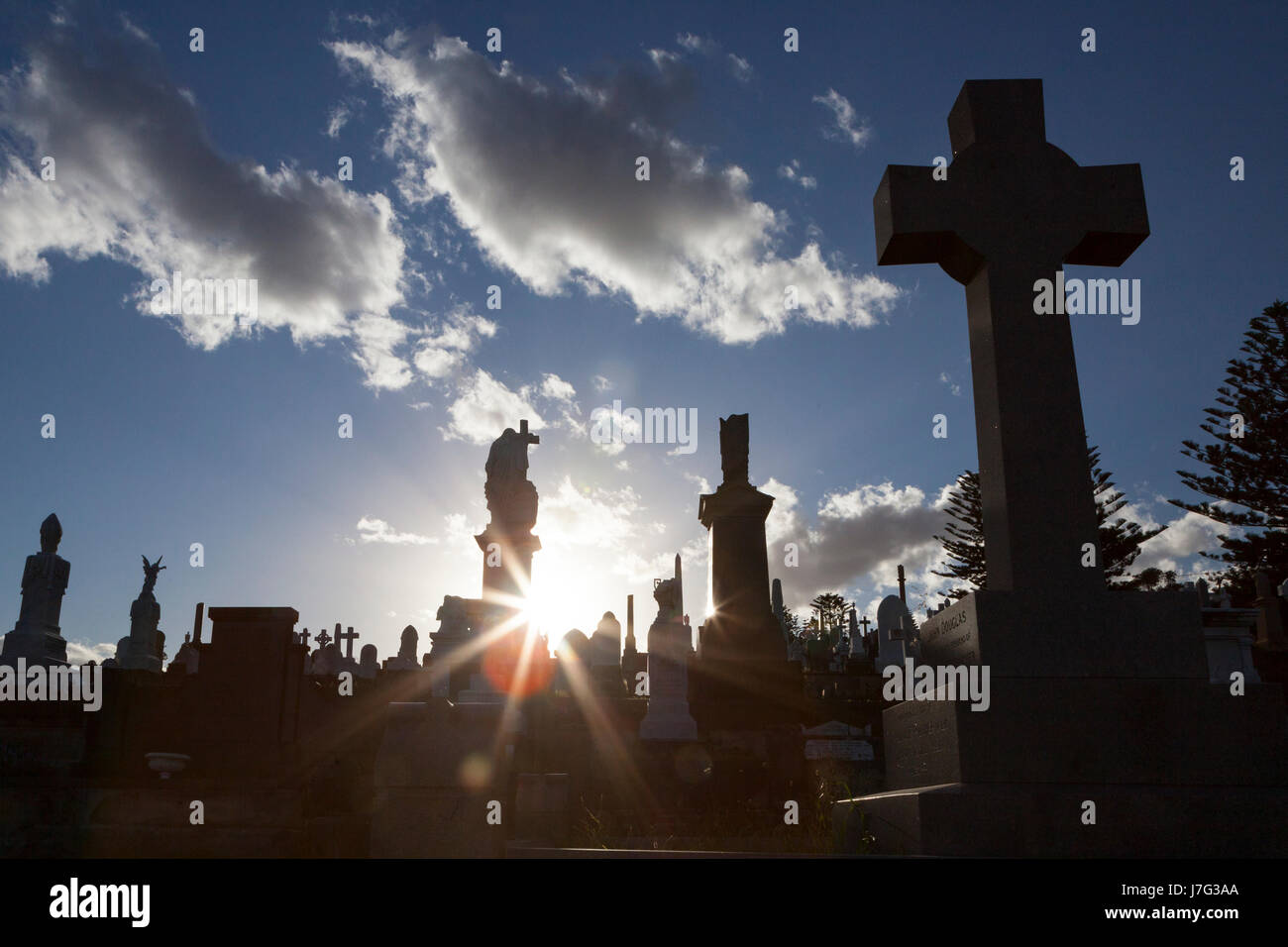 Per Bondi e Coogee percorso, passeggiata costiera, via Bronte Beach e il cimitero di Waverley Foto Stock