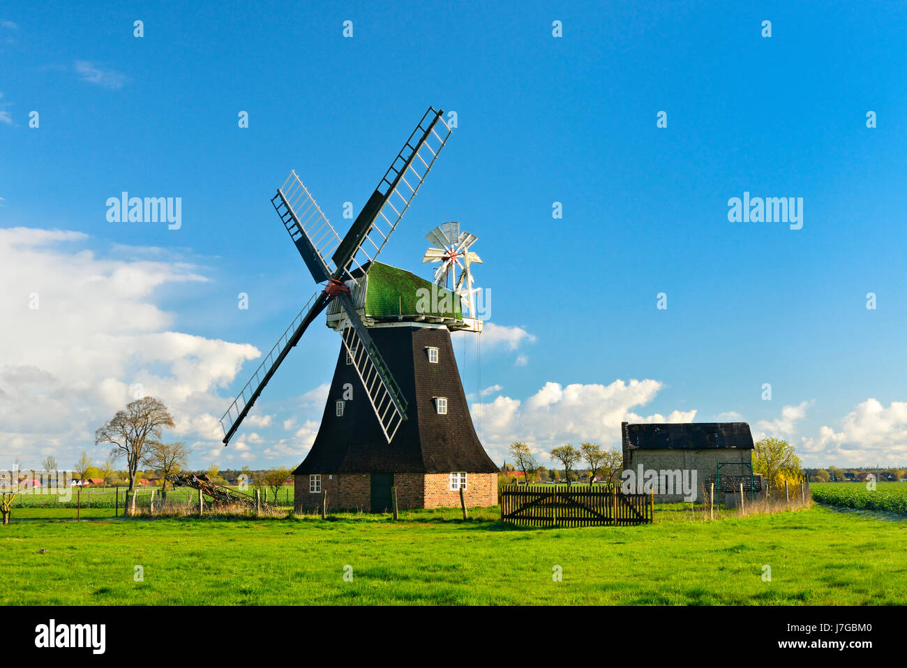 Mulino a vento olandese, Rövershagen, Meclemburgo-Pomerania, Germania Foto Stock