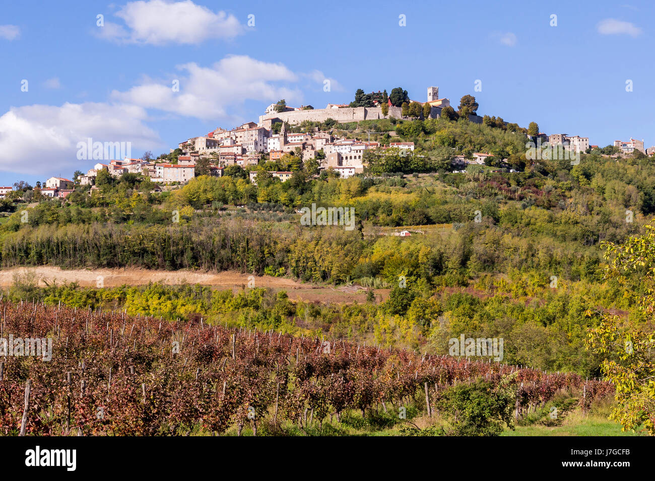 Townscape con vigneti, Montona, Istria, Croazia Foto Stock