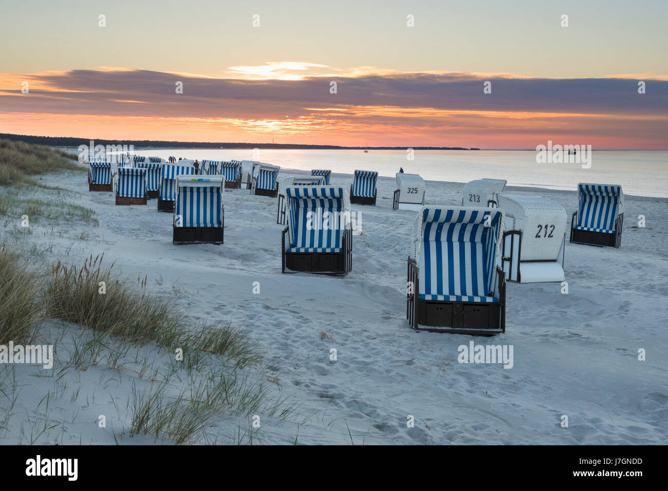 Sedie a sdraio sulla spiaggia di Prerow, Mar Baltico, Darss, Meclenburgo-Pomerania Occidentale, Germania Foto Stock Sedie a sdraio sulla spiaggia di Prerow, Mar Baltico, Darss, Meclenburgo-Pomerania Occidentale, Germania Foto Stock