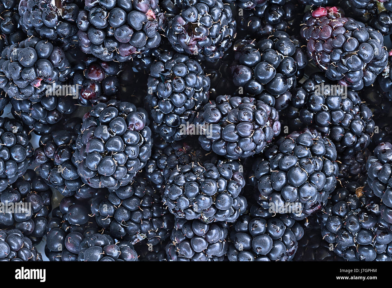 Full frame di sfondo raw succosa frutta blackberry. Foto Stock
