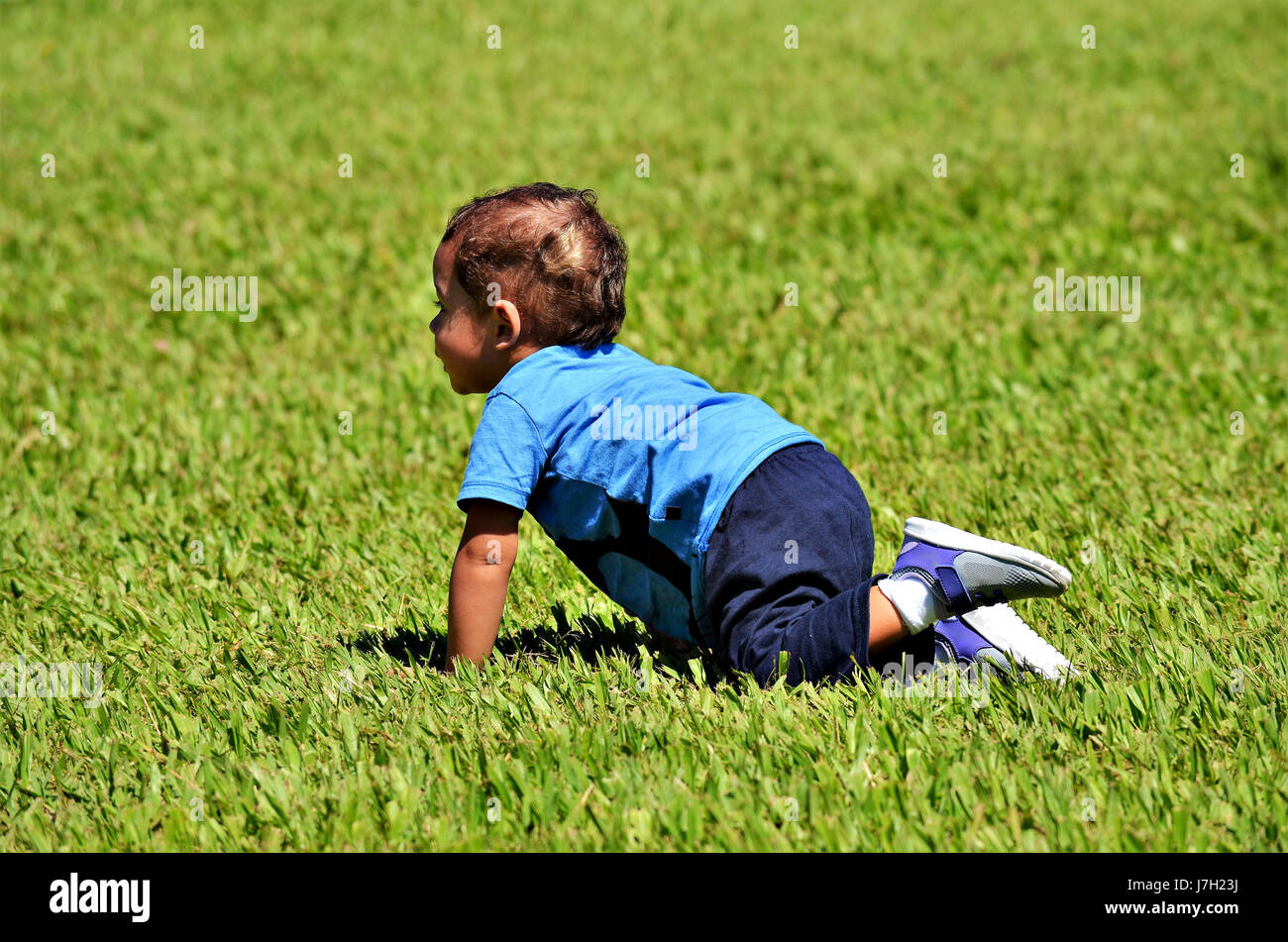 La madre e il figlio gioca su erba in giornata di sole. Foto Stock