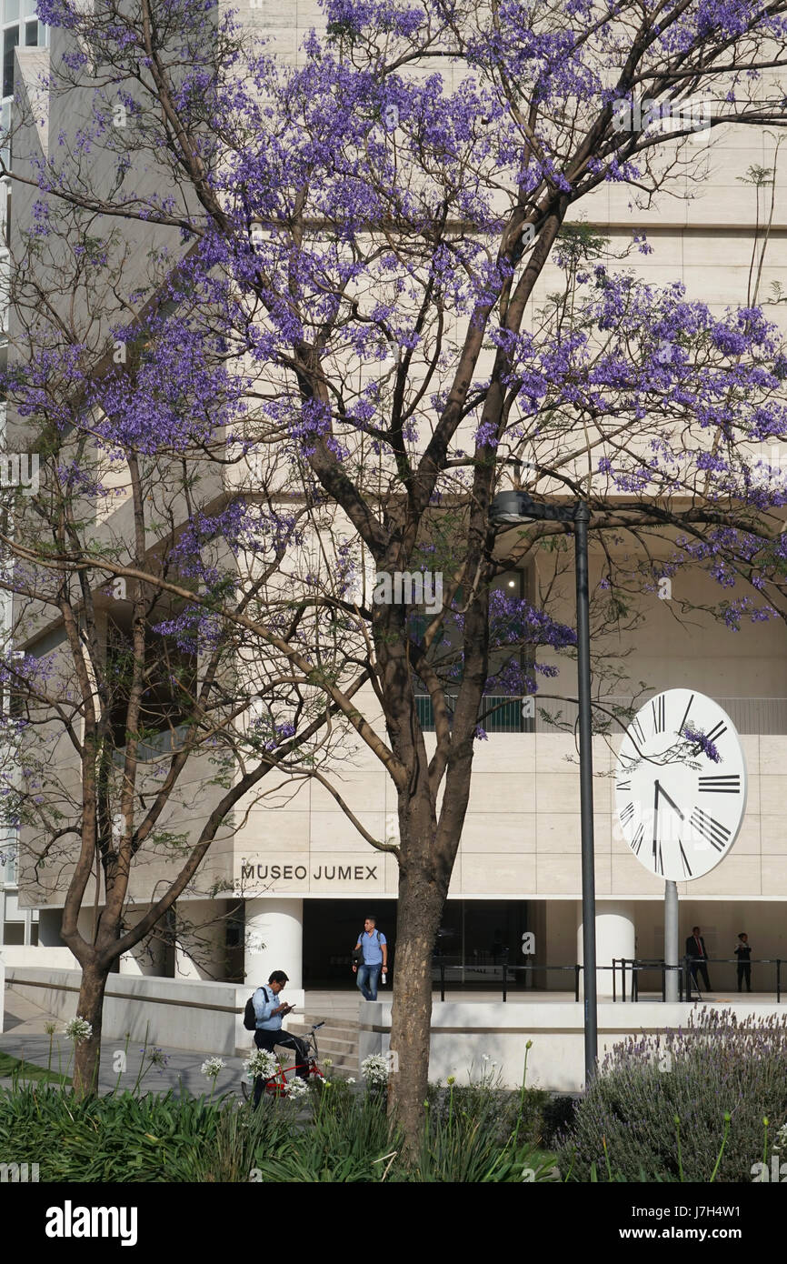 Museo Jumex nel ricco quartiere di Polanco di Città del Messico, Messico Foto Stock