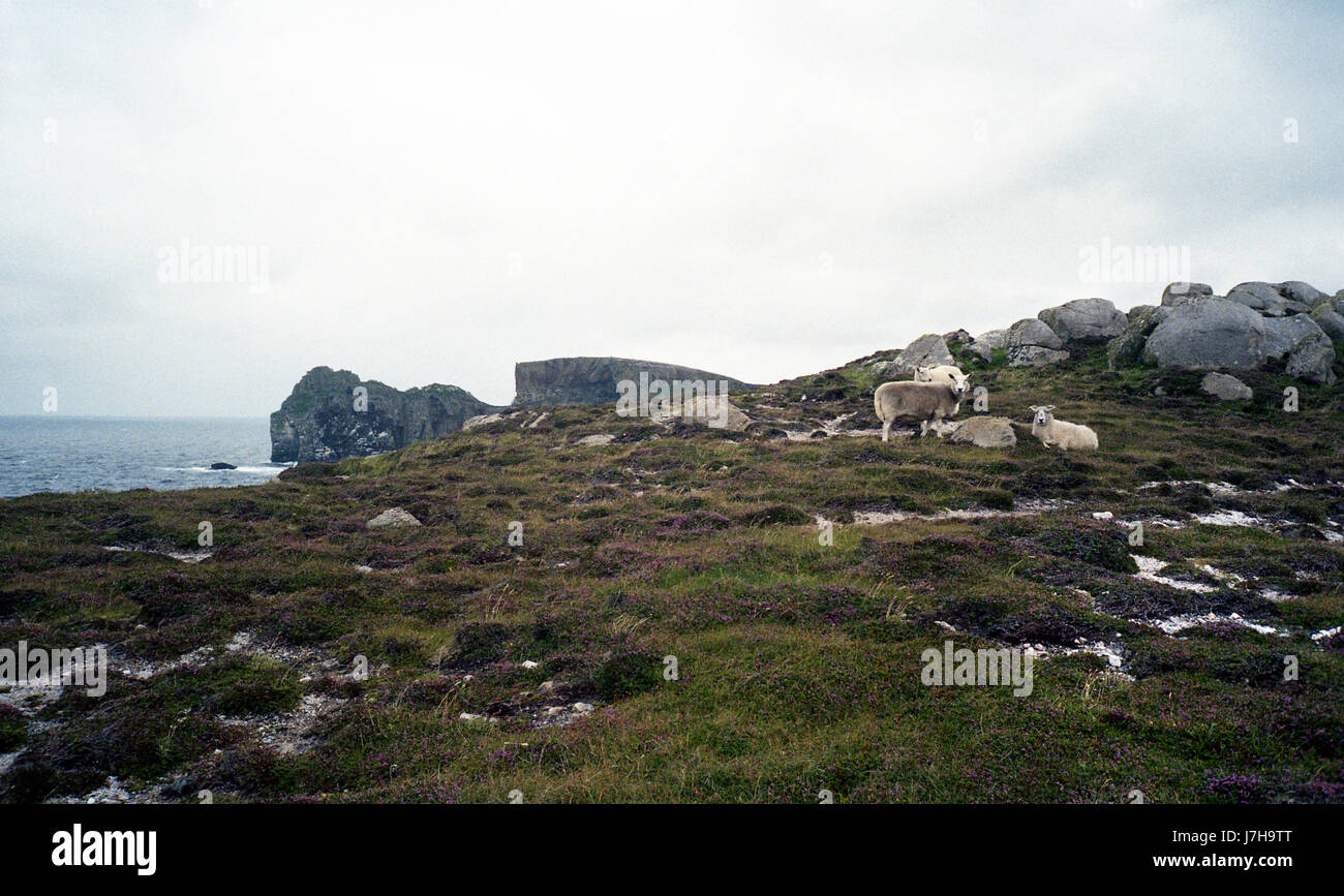 Tory Island, Co. Donegal - Irlanda Foto Stock