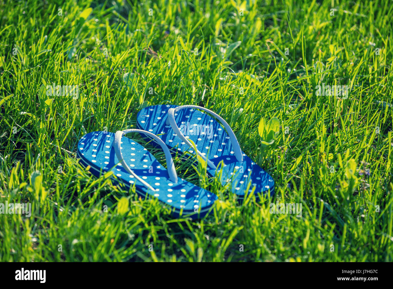 Il flip flop sandali su un'erba. Estate Foto Stock