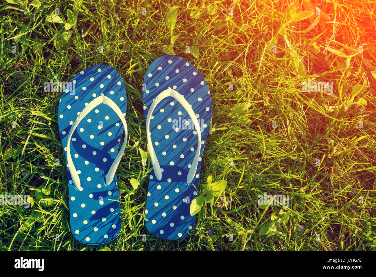 Il flip flop sandali su un'erba. Estate Foto Stock