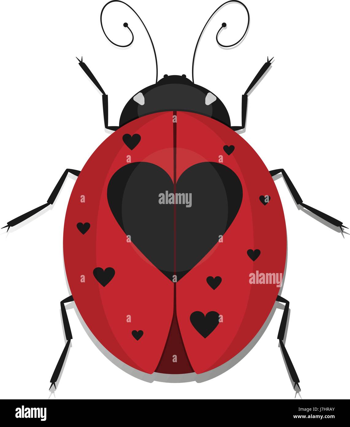 Ladybug coleotteri con cuore ala maculato, vettore ladybird ikon isolati su sfondo bianco. Illustrazione Vettoriale