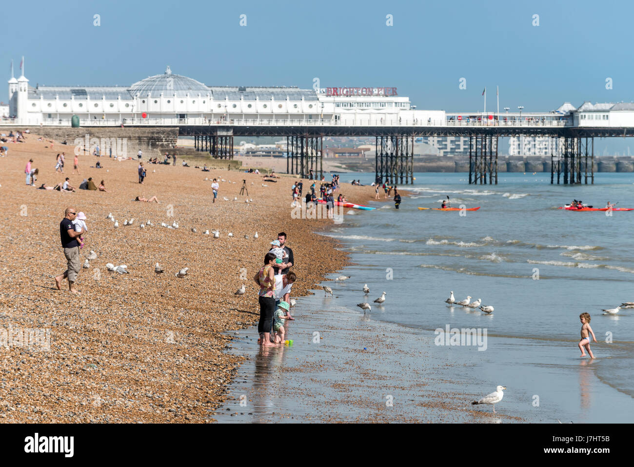 Escursionisti locali e godetevi la torrida condizioni sulla spiaggia di Brighton questo pomeriggio Foto Stock