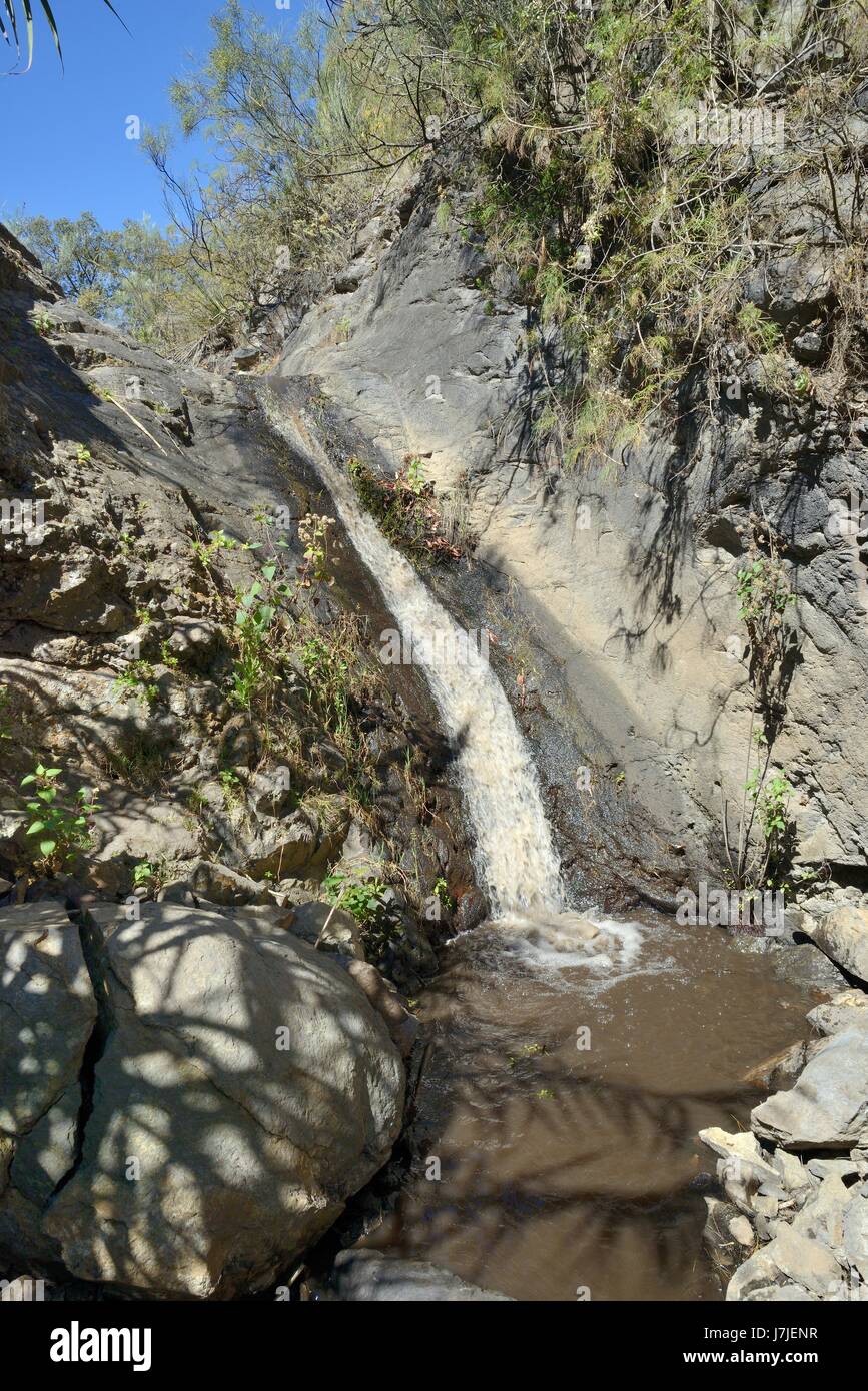 Cascata su un ruscello che scorre verso il basso il Barranco de los Cernicalos roccia vulcanica valle, vicino a Telde, Gran Canaria Isole Canarie, Giugno 2016. Foto Stock