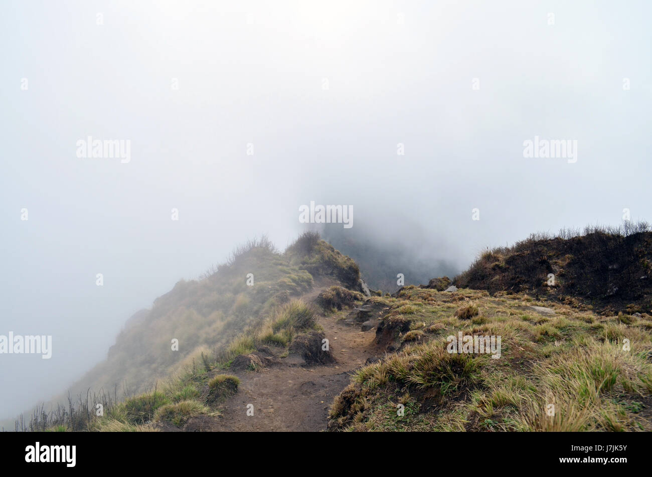 Montagna himalayana strada in caso di nebbia. Foggy himalayan modo. Il Nepal, regione di Annapurna Foto Stock