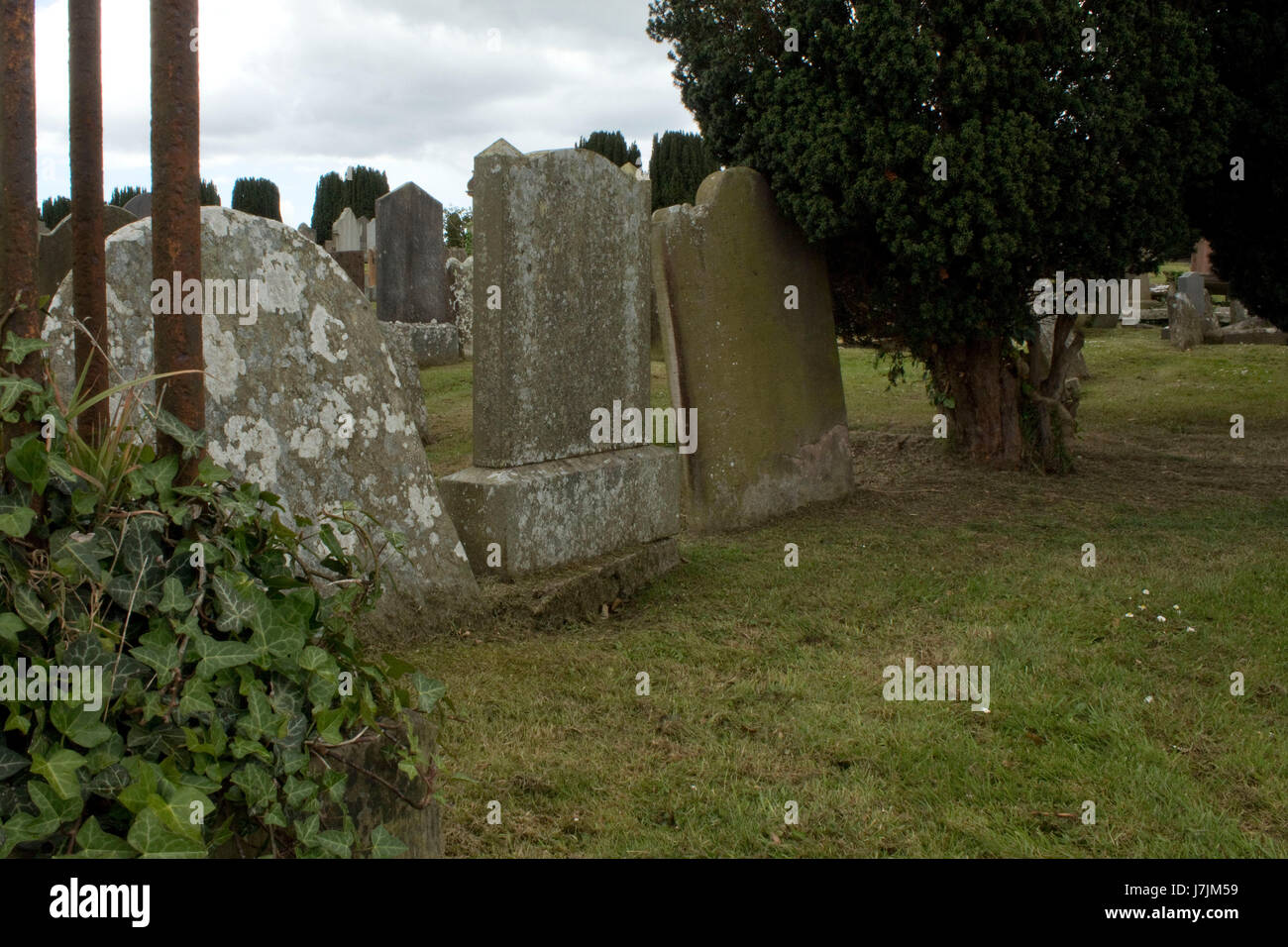 Lapidi da un albero in un vecchio cimitero di Newtownards Co Down Irlanda del Nord Foto Stock