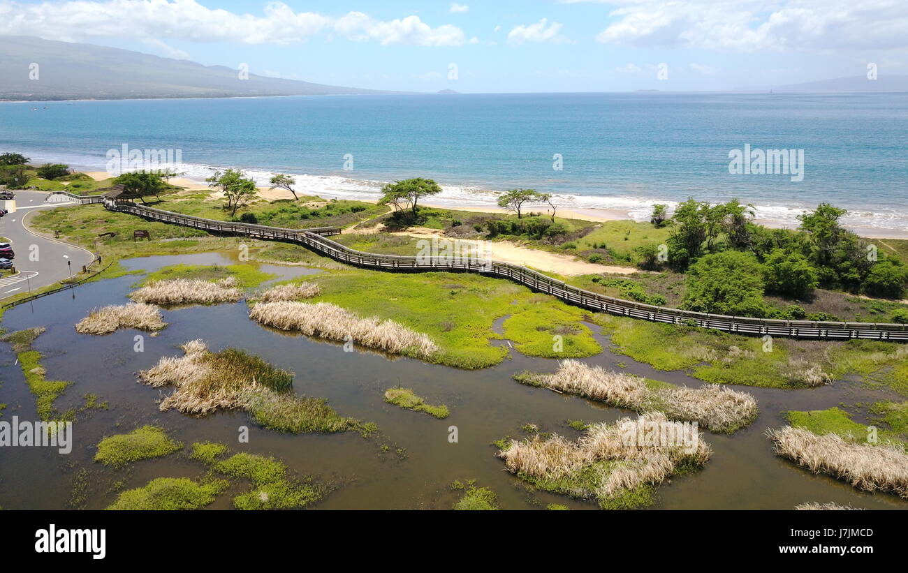 Le immagini aeree in tutto il Kealia stagni di pesce a Maui Hawaii, mostrando la passerella pedonale che costeggia la spiaggia. Foto Stock