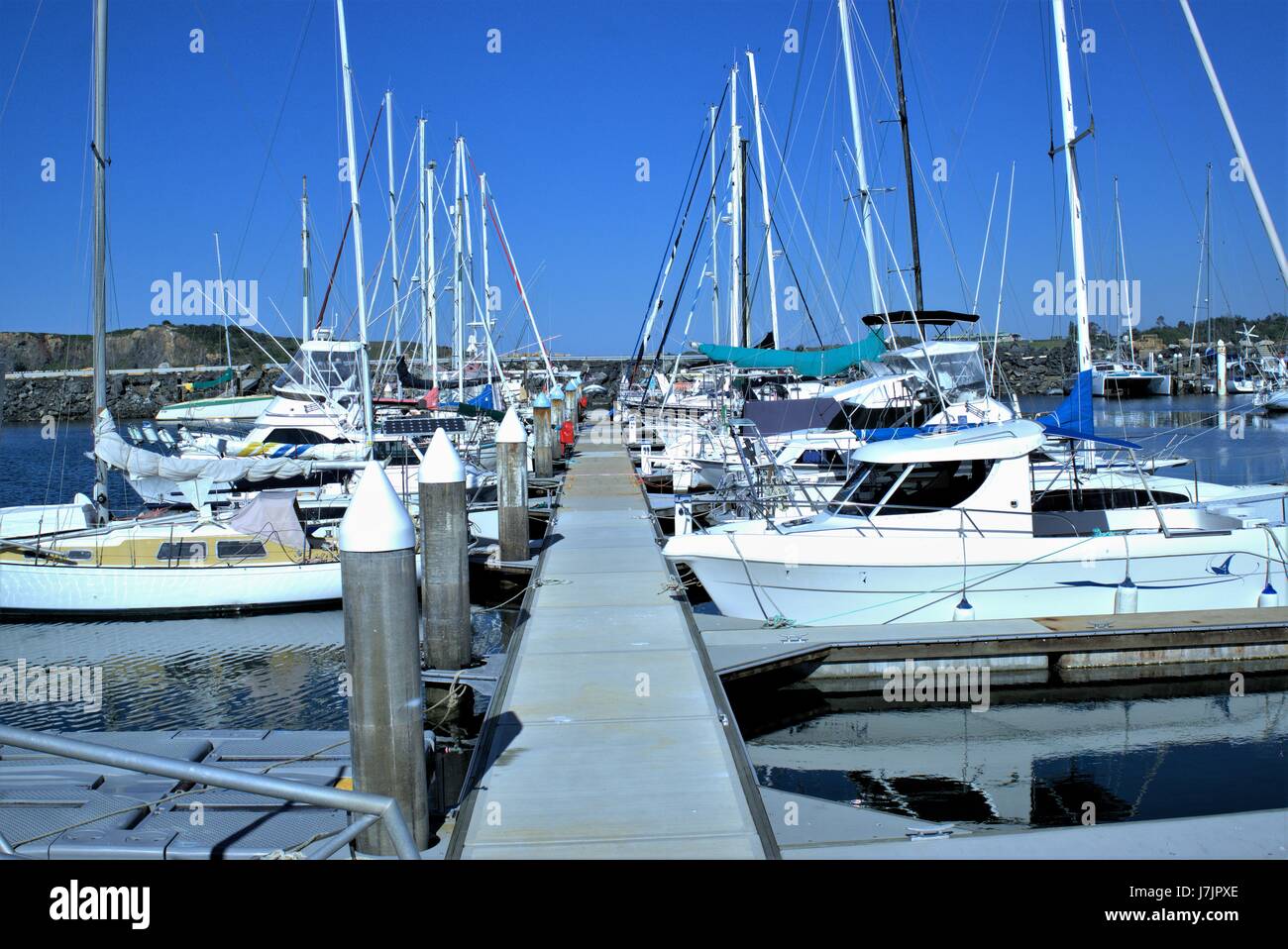 Yacht ormeggiati a Marina. Barche ormeggiate presso un molo. Barche a vela parcheggiato a marina in Coffs Harbour, Australia Foto Stock