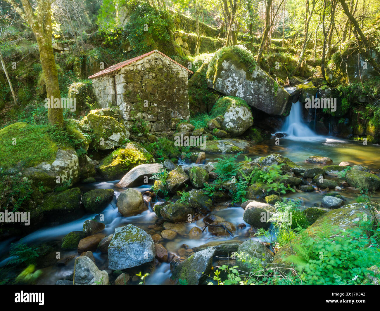 Abbandonato poco casa o mulino nella foresta in Vale do Douro, Portogallo. Foto Stock
