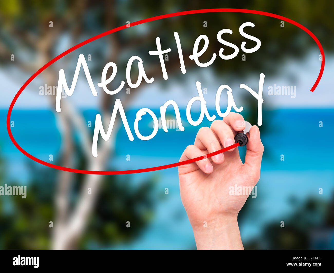Man mano che scrive senza carne lunedì con pennarello nero su schermo visivo. Isolato sulla natura. La vita, tecnologia, internet concetto. Immagine di stock Foto Stock