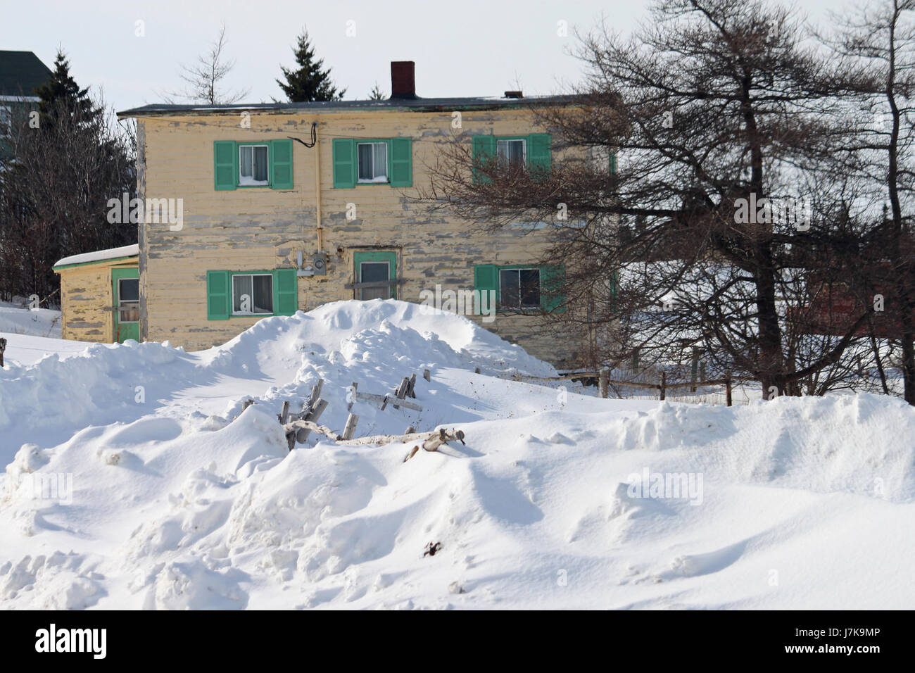 Questo si riferisce a un evento specifico o a una registrazione di Terranova, Canada, datata 12 febbraio 2011, probabilmente correlata a un evento meteorologico, notizie locali o a un evento notevole nell'area dei rinnovi. Foto Stock Questo si riferisce a un evento specifico o a una registrazione di Terranova, Canada, datata 12 febbraio 2011, probabilmente correlata a un evento meteorologico, notizie locali o a un evento notevole nell'area dei rinnovi. Foto Stock
