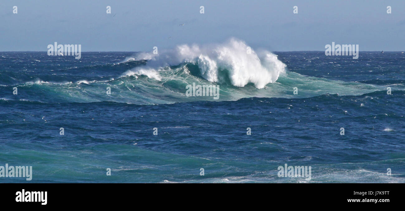 Questa fotografia cattura Cape Spear a Terranova dopo una tempesta, evidenziando il suggestivo paesaggio costiero. L'immagine mostra il terreno accidentato e i potenti effetti della tempesta sull'ambiente naturale. Foto Stock