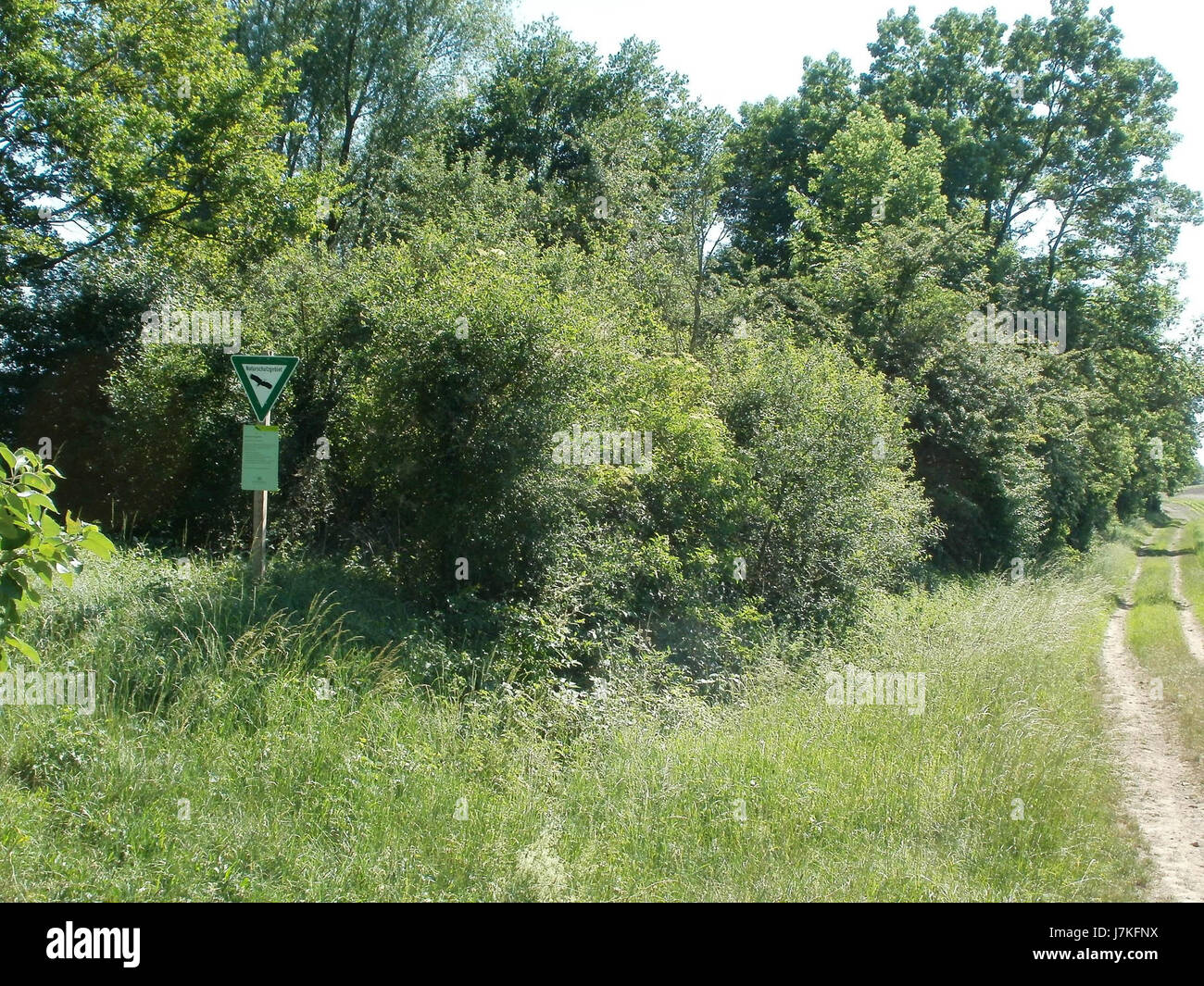 Il Naturschutzgebiet Bahndamm Talhaus è una riserva naturale situata in Germania. È conosciuta per la sua ricca biodiversità ed è un'importante area di conservazione che aiuta a preservare la fauna selvatica locale e le specie vegetali. Foto Stock