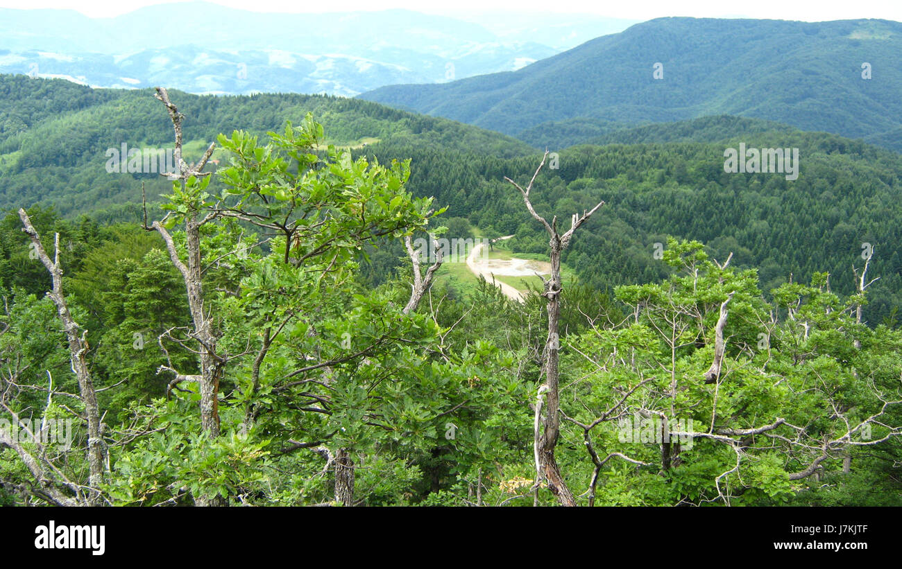 L'evento Borja 43 tenutosi il 29 giugno 2011 a Borja, in Spagna, è stato un importante raduno per la comunità locale, caratterizzato da attività culturali e sociali. Questo evento ha messo in mostra le tradizioni e i costumi locali, contribuendo alla vita e al patrimonio culturale dell'regionÂ. È stata un'occasione importante per l'impegno e la celebrazione della comunità. Foto Stock