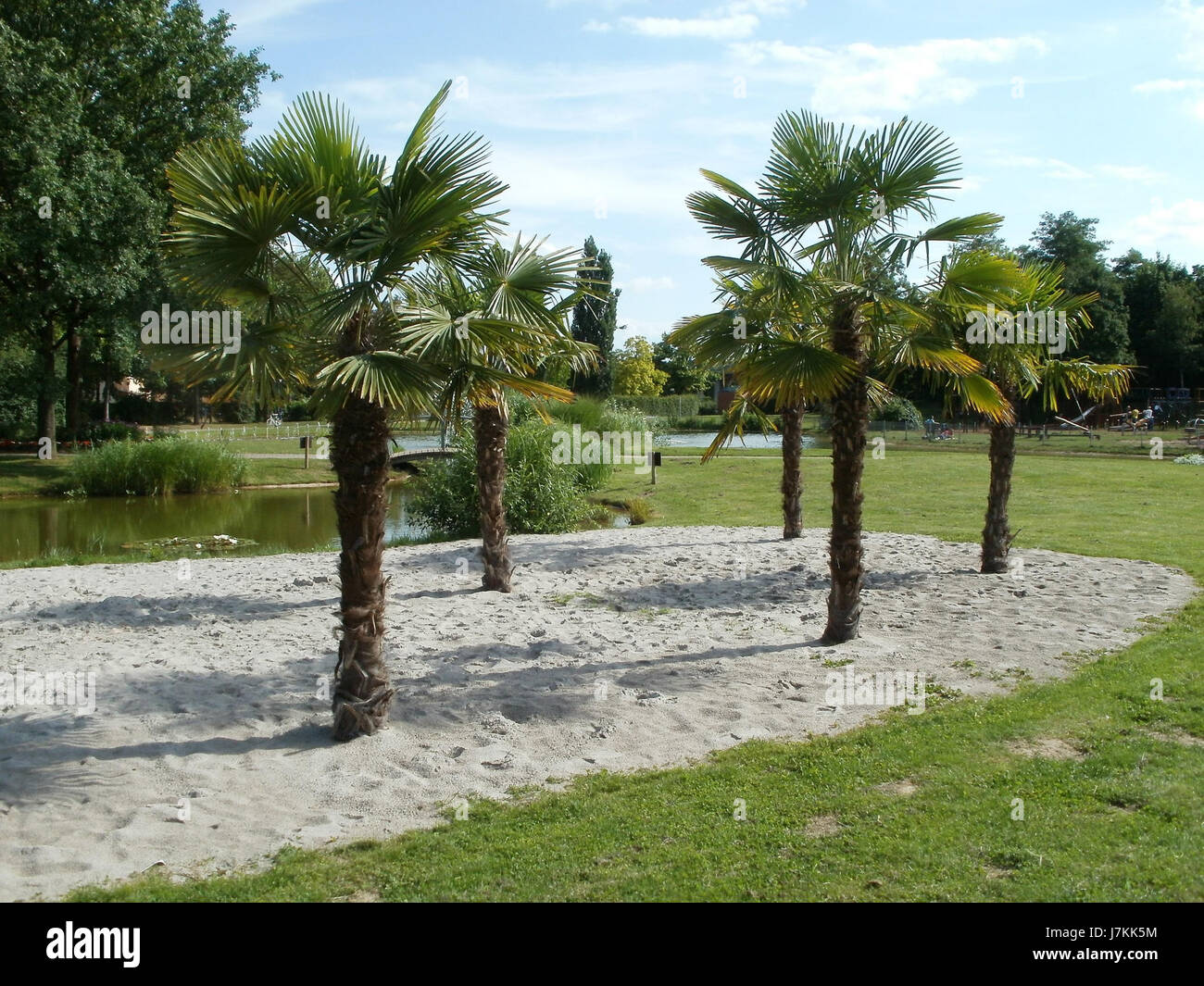 Il Palmen Landesgartenschaupark di Hockenheim è un parco pubblico noto per i suoi lussureggianti spazi verdi, la diversità vegetale e il contributo alla conservazione ambientale e alla bellezza urbana. Foto Stock
