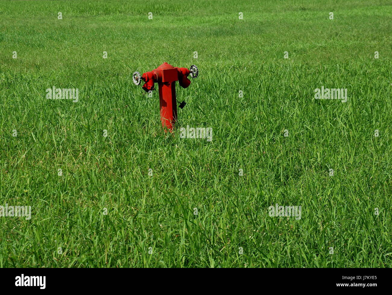 Il fuoco verde conflagrazione fireplug acqua per la lotta antincendio da soli scarica solitario Foto Stock