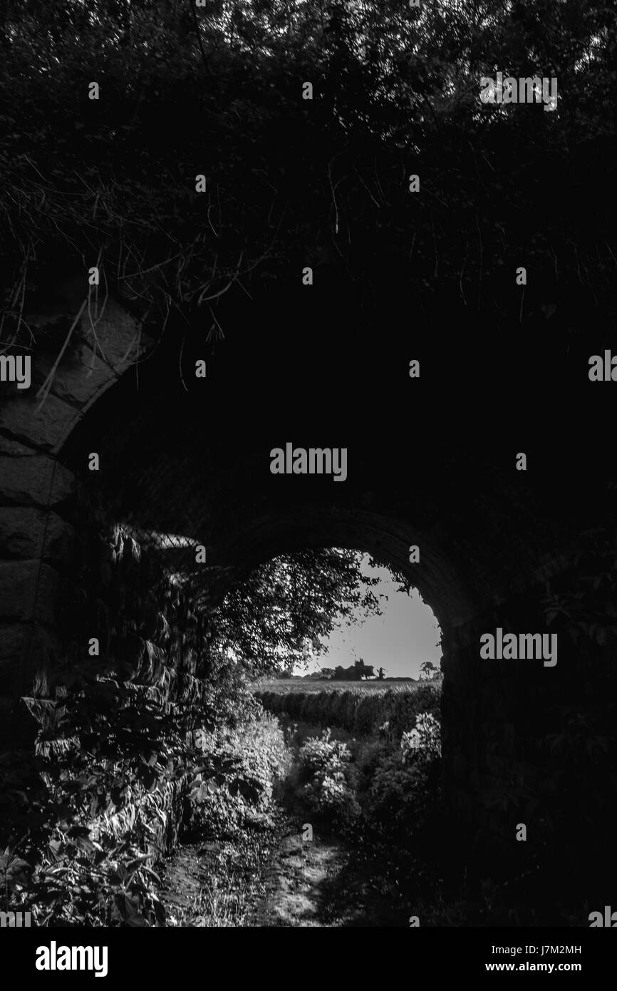 Infestata da Erbacce Erbacce nei pressi di una antica pietra ponte ferroviario in Templecoombe Somerset. Ideale per la copertina del libro per il romanzo. Foto Stock